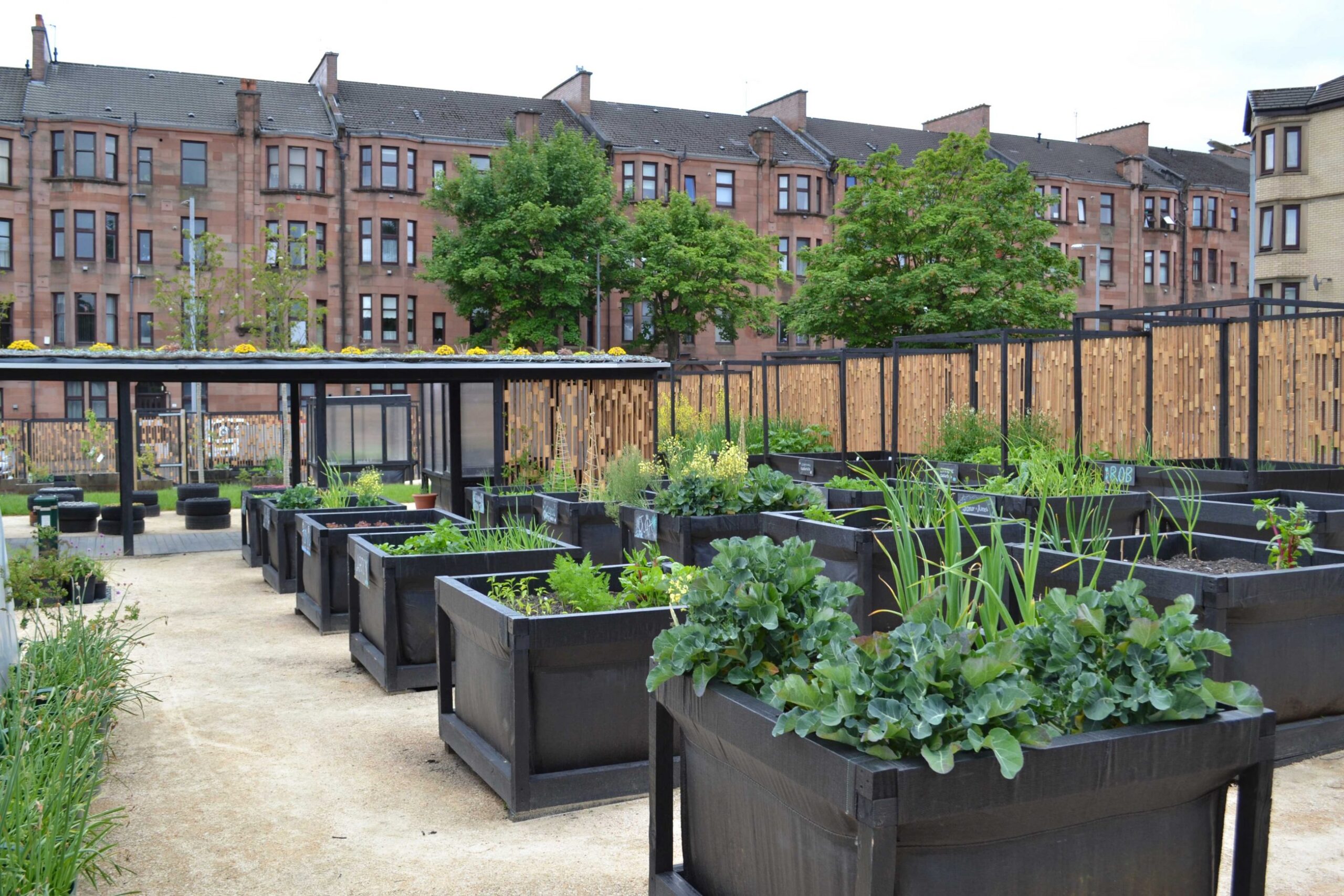 Community garden in North Glasgow , designed by ERZ architects.
