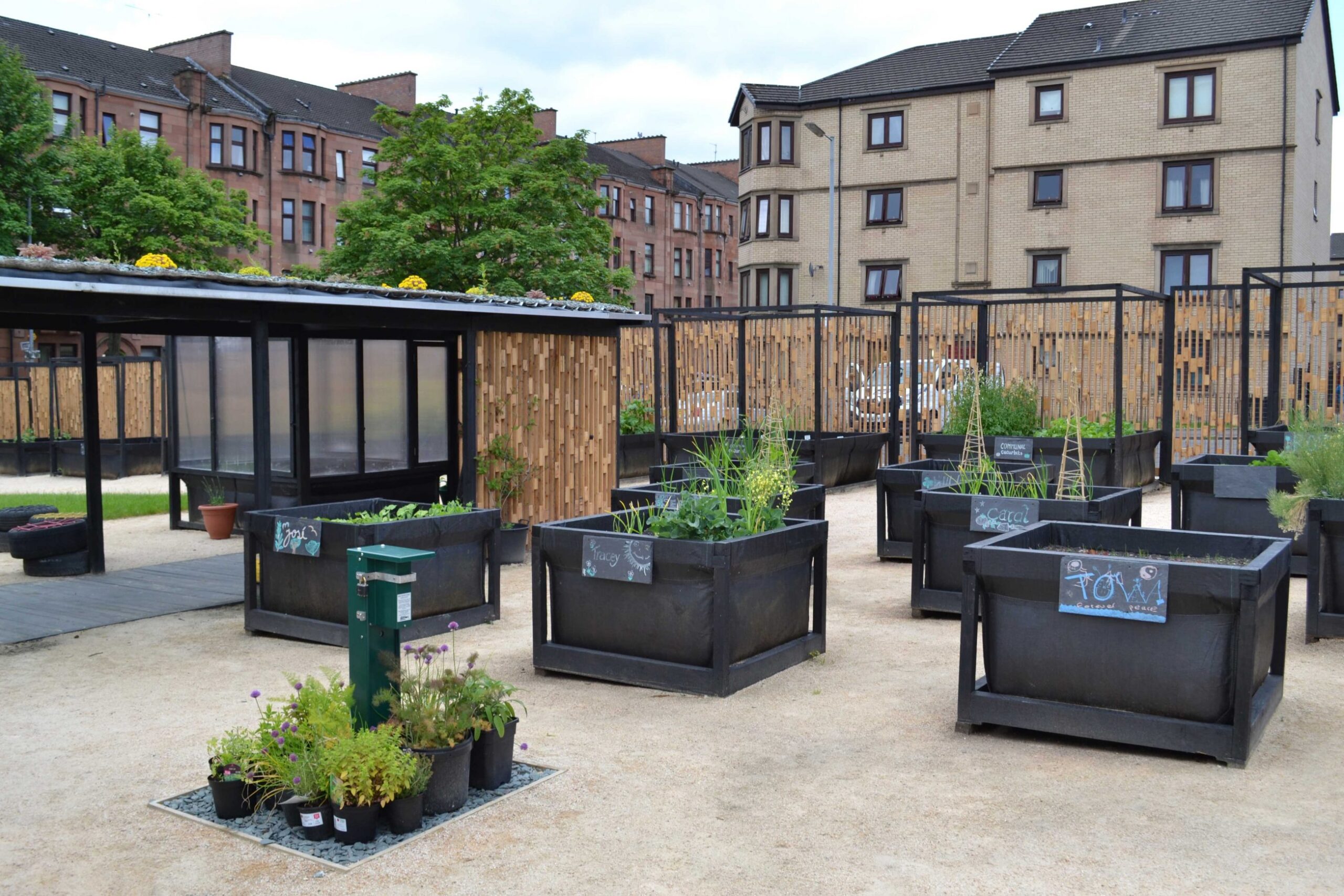 Community garden in North Glasgow , designed by ERZ architects.