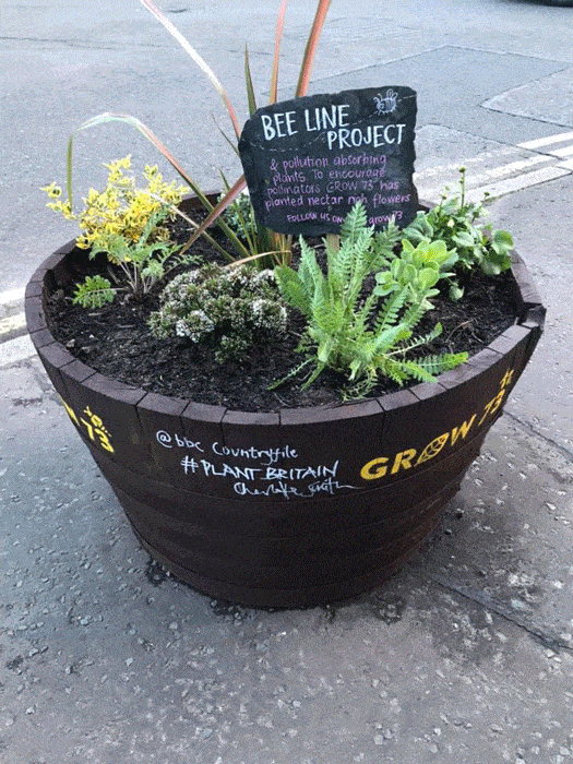  the bee line project, reclaimed whisky barrel planter
