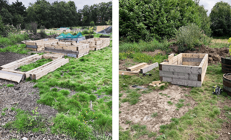  building raised beds from reclaimed scottish spruce sleepers