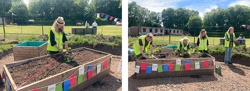  launching Buzzfest 2022, reclaimed scaffold board raised beds
