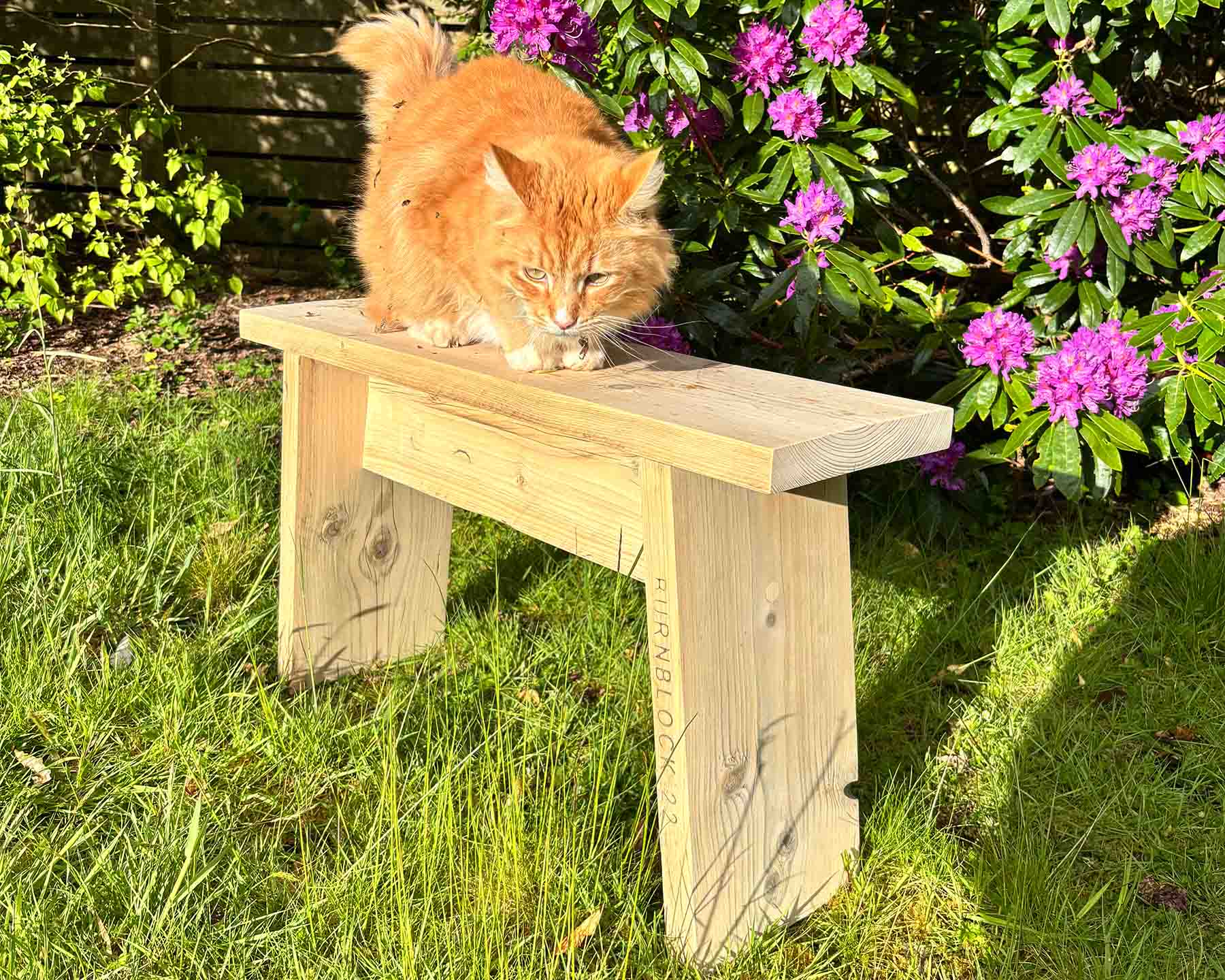 Build-a-bench woodworking session